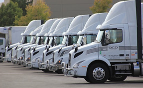 Quality Custom Distribution Trucks Lined Up
