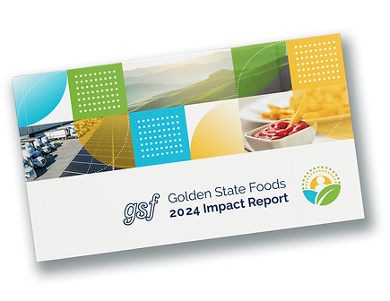 GSF Impact Report_Mockup copy.png